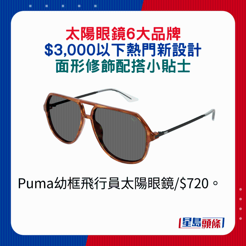 Puma幼框飞行员太阳眼镜 $720。