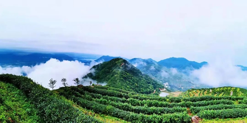 微信图片_20220531160034 微信图片_20220531160034