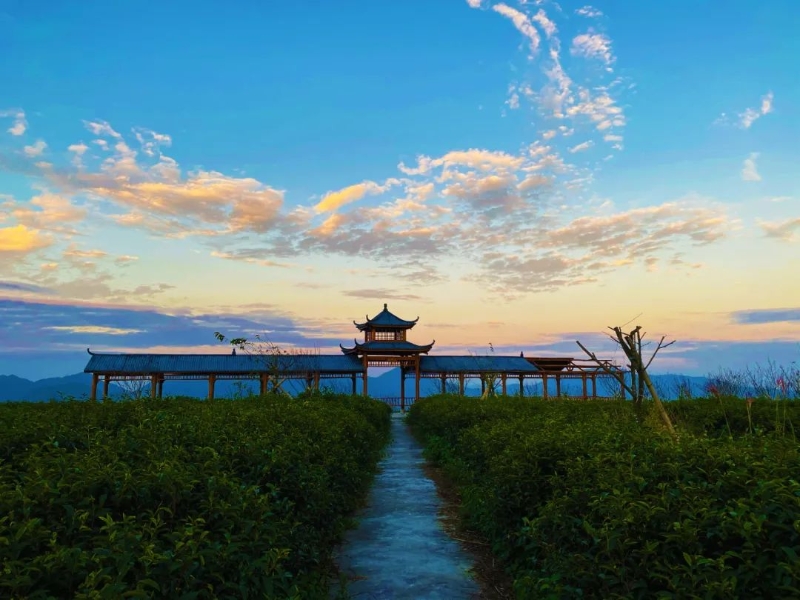 微信图片_20220531160157 微信图片_20220531160157