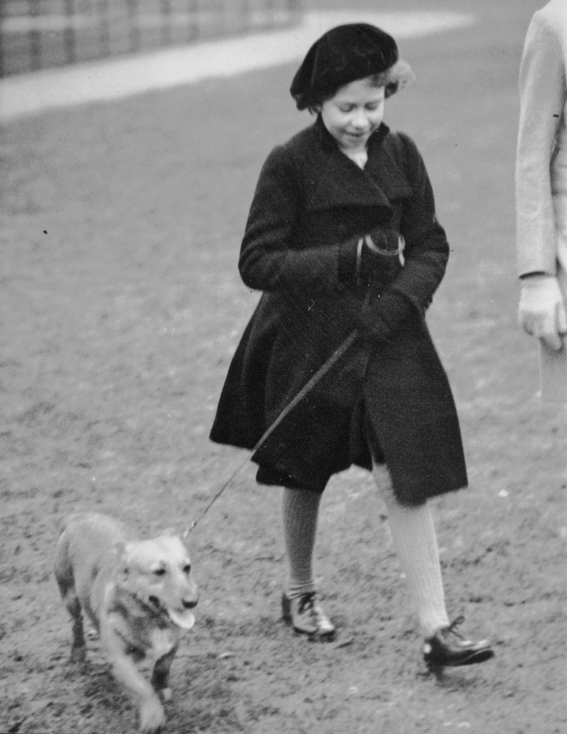 1936年2月26日，伊利沙伯公主带着她的宠物狗在伦敦海德公园散步。 AP