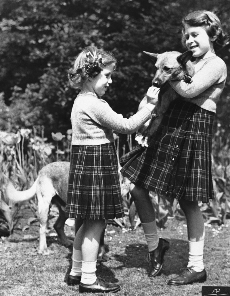 在這張1936年7月5日的檔案照片中，英國的伊利沙伯公主（右）拿着一隻彭布羅克郡柯基犬，而她的妹妹瑪格麗特公主正在餵牠一塊餅乾。AP