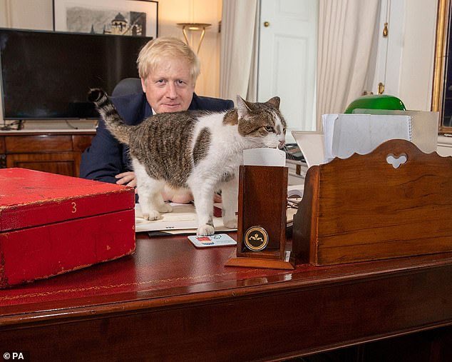 英国首相府唐宁街10号一带一直鼠患严重，多年来都有养猫习俗。 （TWITTER图像）