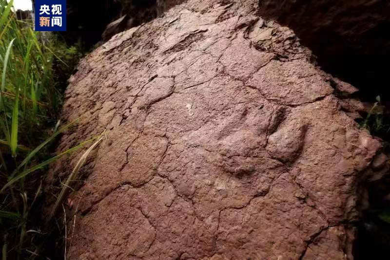 3480-e3038f62db184bbcfac9ab06b7589e80 3480-e3038f62db184bbcfac9ab06b7589e80