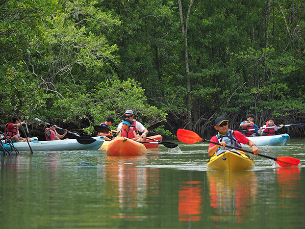 「永續」類的體驗項目包括烏敏島划獨木舟行程等。 SingapoRewards網站圖