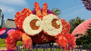 香港花卉展览最后召集！闭幕后将免费发3000盆花卉