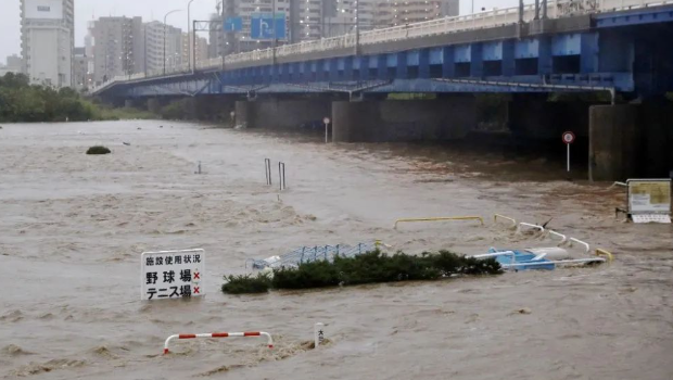 日本多摩川 日本多摩川