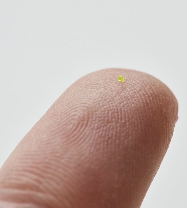 MSCHF打造世上最迷你的 LV手袋。 MSCHF打造世上最迷你的 LV手袋。