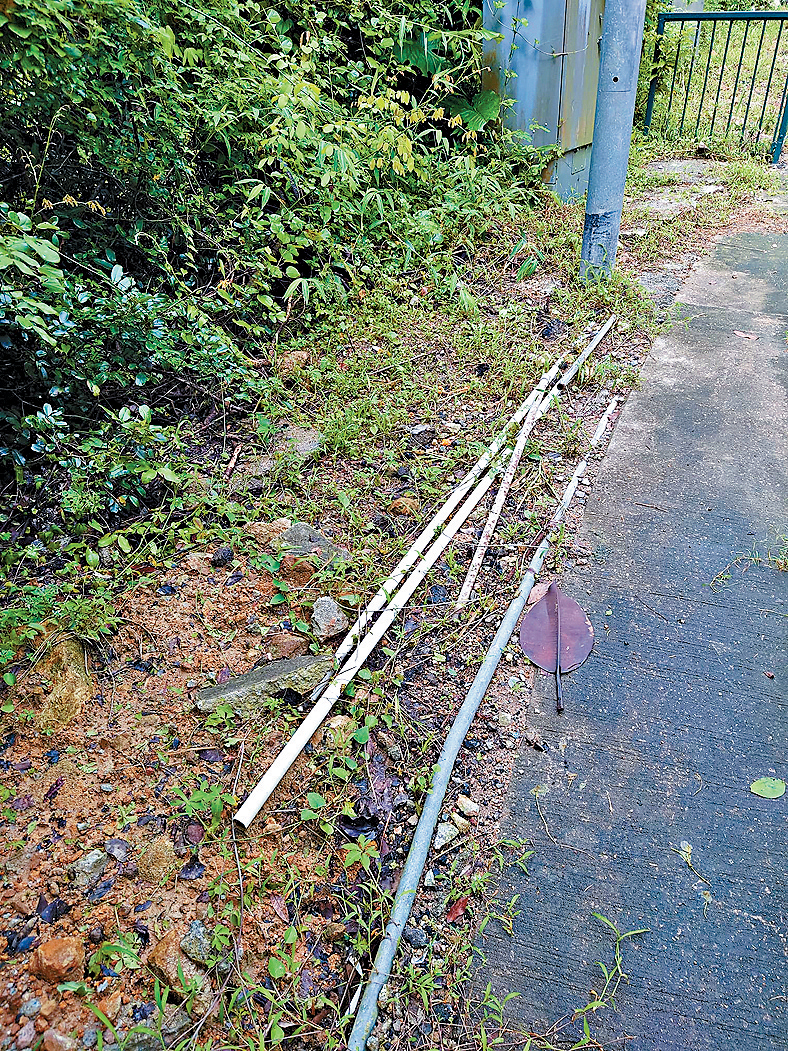 MAZ02P02060723 copy MAZ02P02060723 copy