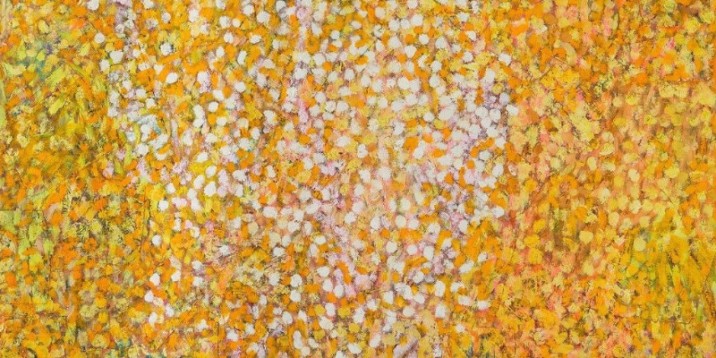 个体 · 源流 ‧ 表现 个体 · 源流 ‧ 表现