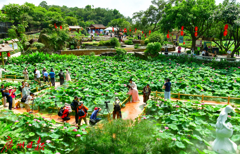 莲花山已成旅游胜地 莲花山已成旅游胜地