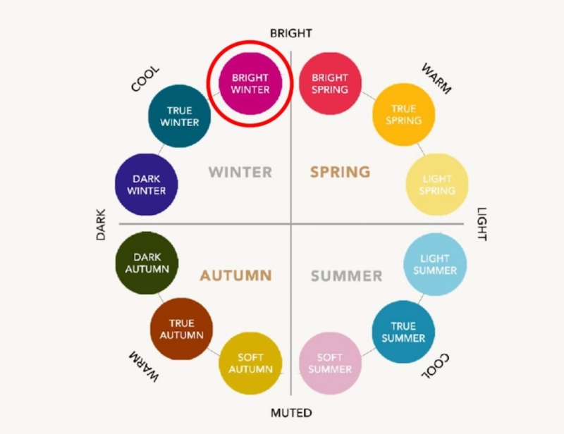 个人色彩测试 个人色彩测试