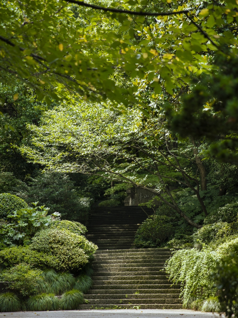 杭州半山国家森林公园，由半山、龙山、虎山三大公园连通组成。