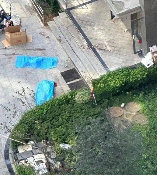 坠楼惨剧已造成涉案家庭的母亲及1名孩子死亡。 坠楼惨剧已造成涉案家庭的母亲及1名孩子死亡。