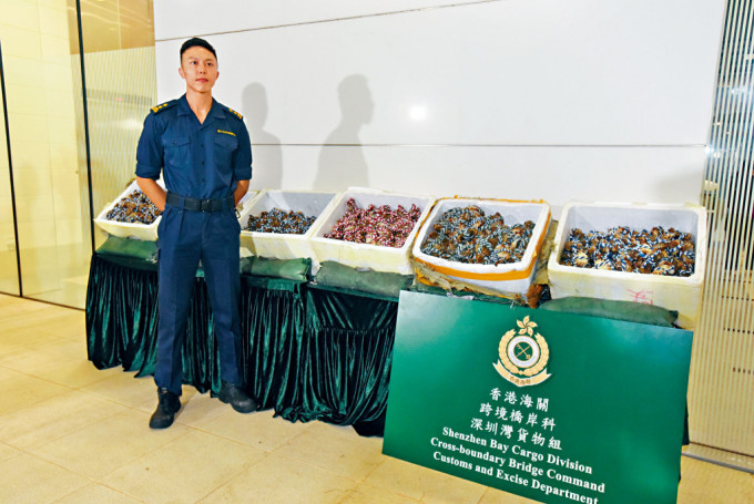 截至前日,海关共转介35宗个案予食安中心跟进,其中17宗案件涉及约1400公斤共7800只大闸蟹,均没有卫生证明。 截至前日,海关共转介35宗个案予食安中心跟进,其中17宗案件涉及约1400公斤共7800只大闸蟹,均没有卫生证明。