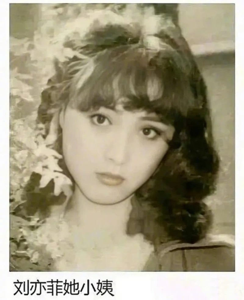 刘亦菲的小姨,有种天生媚态,原来曾是80年代女星。 刘亦菲的小姨,有种天生媚态,原来曾是80年代女星。