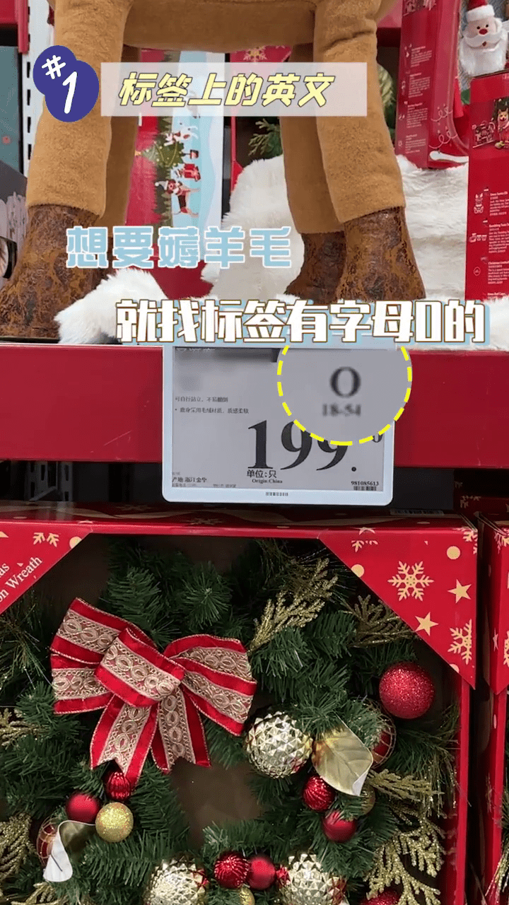 字母O