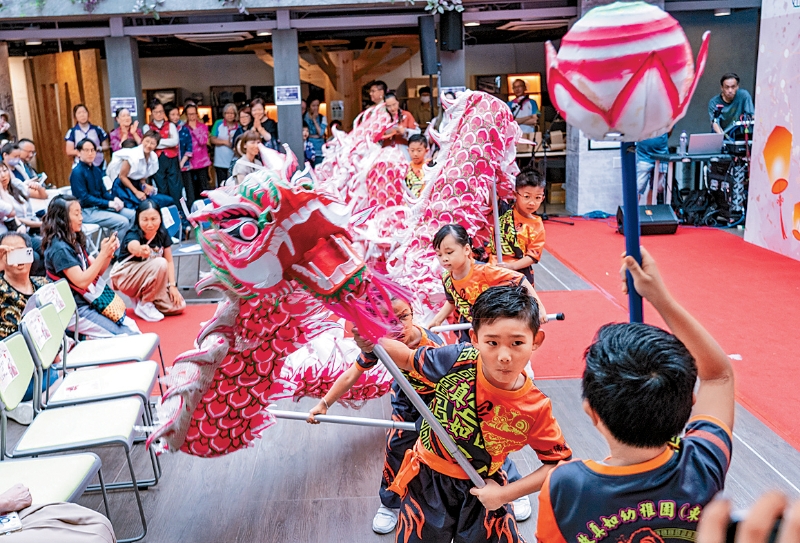 MAZ02P02161123 copy MAZ02P02161123 copy