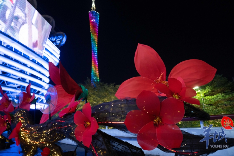 作品《木棉花开》 作品《木棉花开》