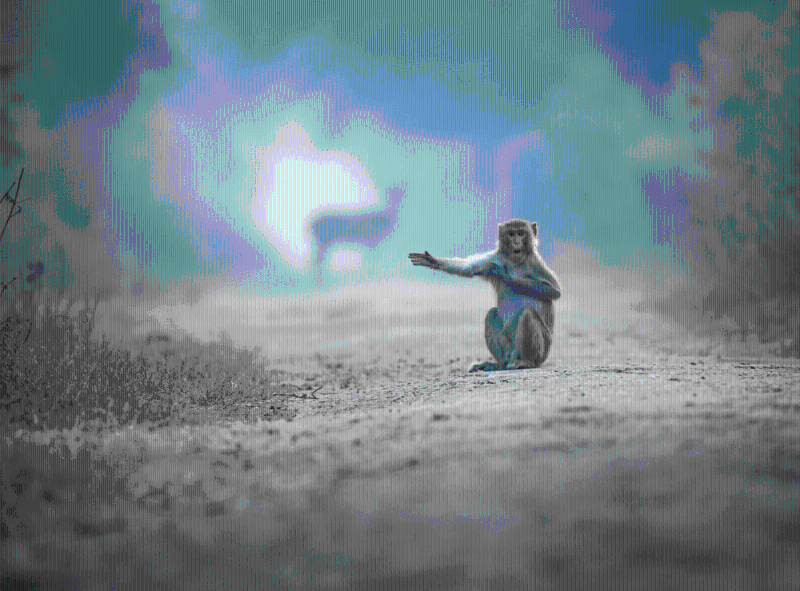 10幅由评委选出的超级搞笑作品。拍摄者:Pratick Mondal 10幅由评委选出的超级搞笑作品。拍摄者:Pratick Mondal