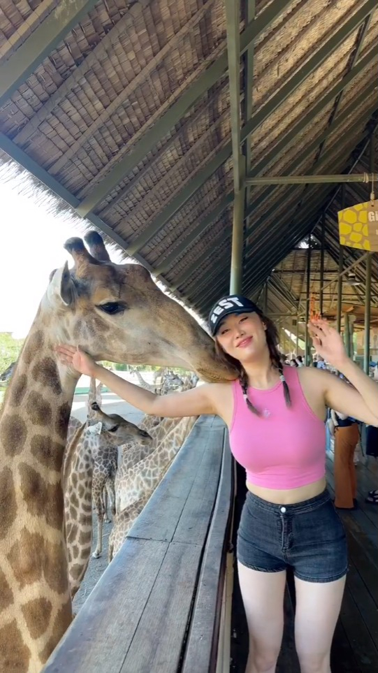 被长颈鹿吻颈好受落。 被长颈鹿吻颈好受落。