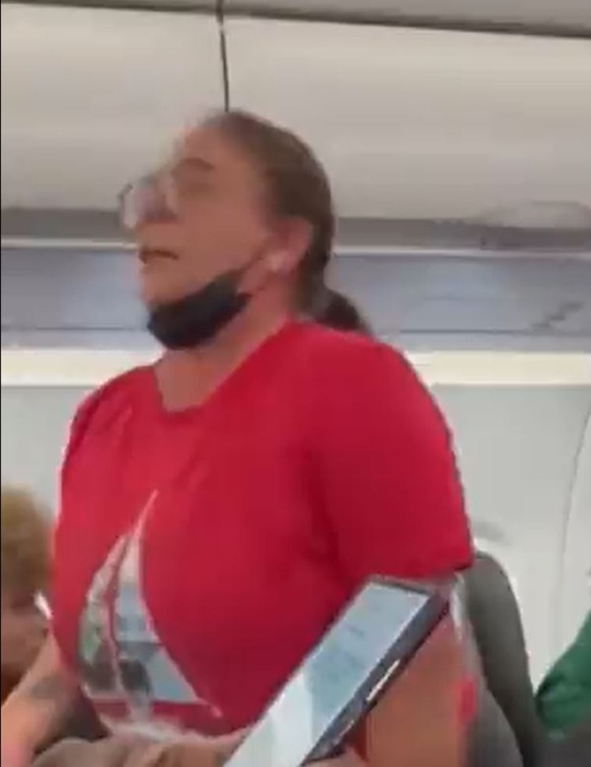 女子不断与其他乘客对骂。 女子不断与其他乘客对骂。