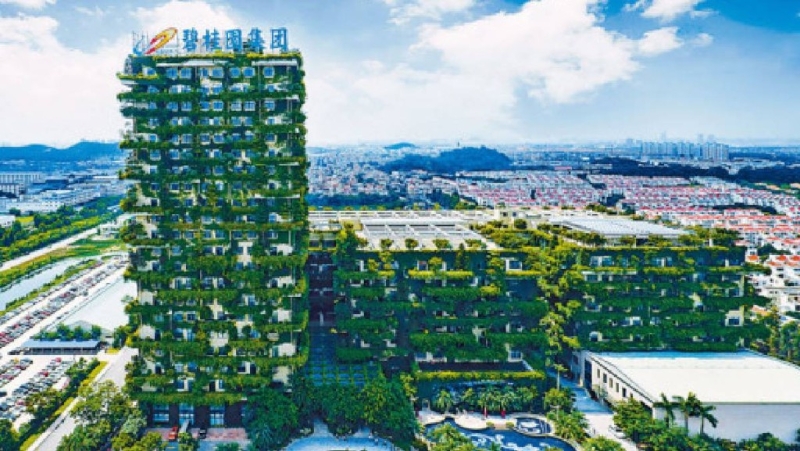 碧桂园 碧桂园
