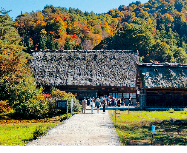 和田家是整个白川乡荻町集落中最大的合掌屋。 和田家是整个白川乡荻町集落中最大的合掌屋。