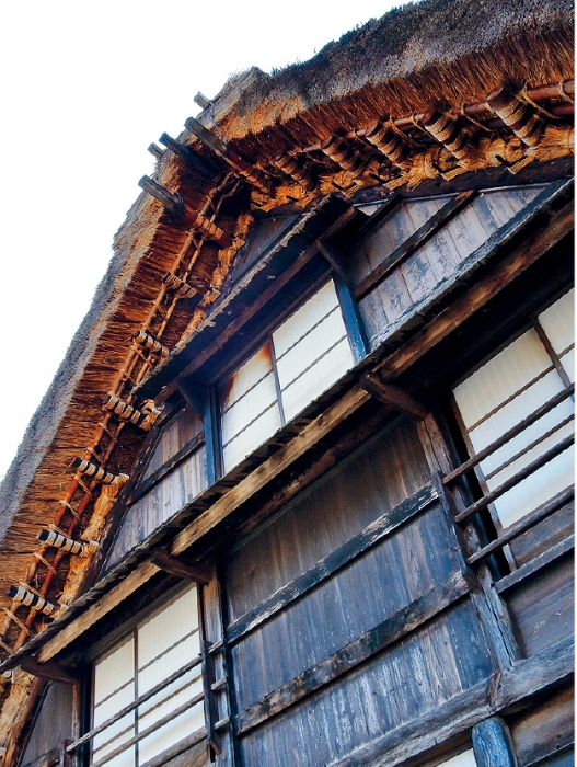 每间合掌屋都有以茅草建成的厚厚屋顶,方便卸去积雪。 每间合掌屋都有以茅草建成的厚厚屋顶,方便卸去积雪。