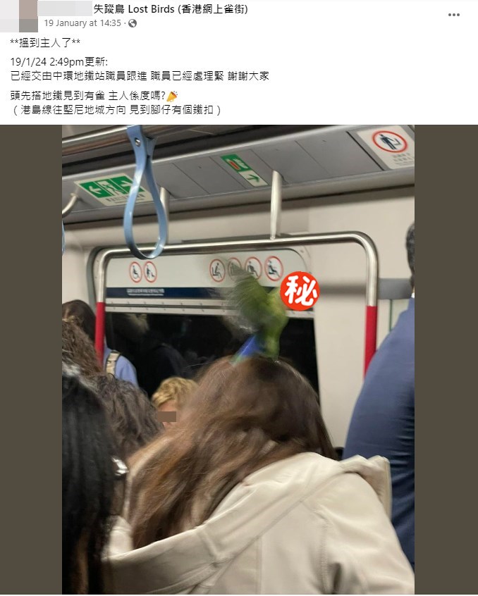 楼主帖文。fb“失踪鸟 Lost Birds（香港网上雀街）”截图