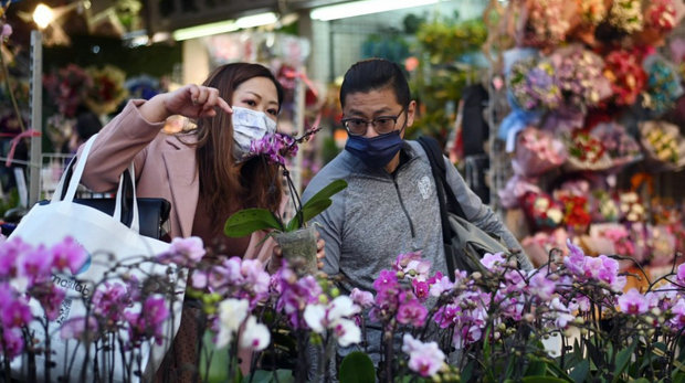 不少人爱到花墟选购年花