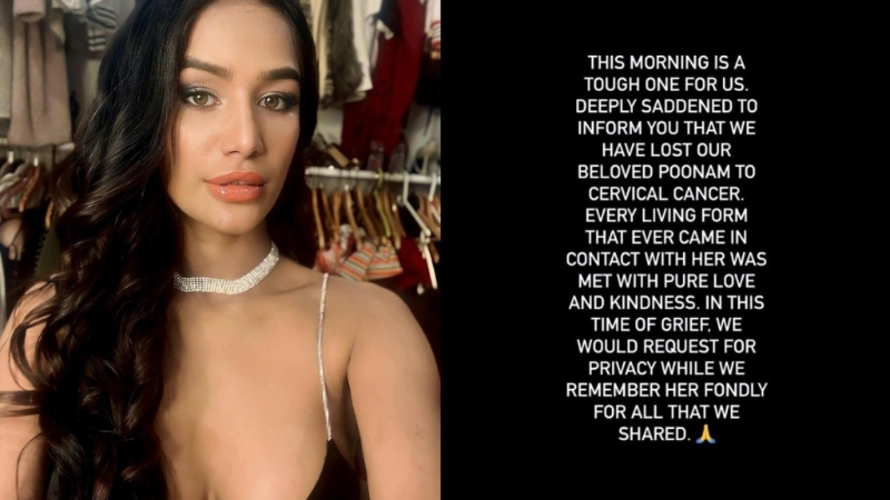 潘迪团队上周发布潘迪去世的消息。 潘迪团队上周发布潘迪去世的消息。