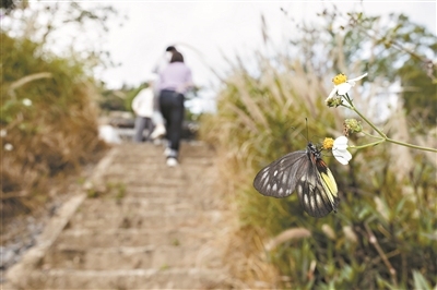 南香山森林公园