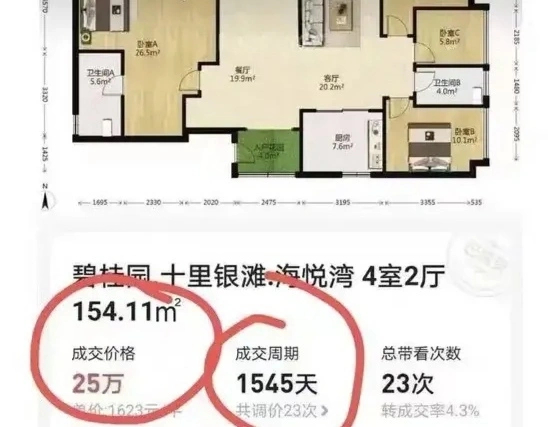 网络热传的25万元成交记录截图。 网络热传的25万元成交记录截图。