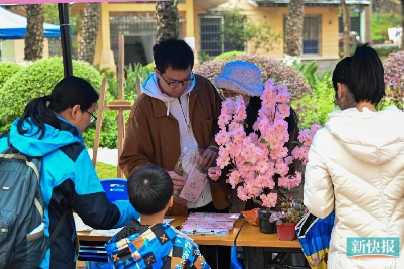 樱主题文化节‘’