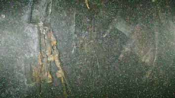 底座内部180°左右的视角。 TEPCO 底座内部180°左右的视角。 TEPCO