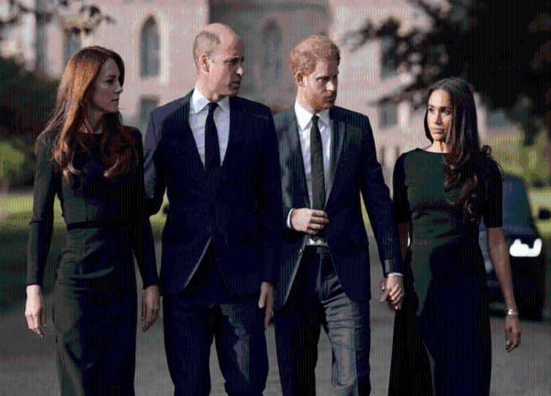 威廉凯特与哈里夫妇 威廉凯特与哈里夫妇