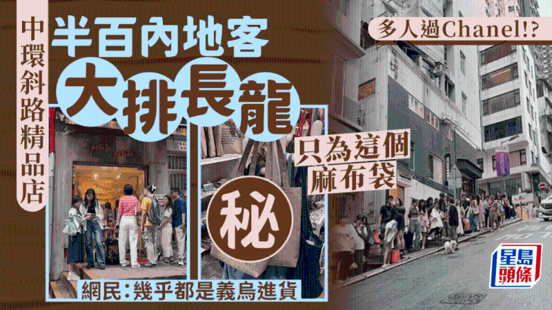 小红书爆红中环小店只因这款袋 小红书爆红中环小店只因这款袋