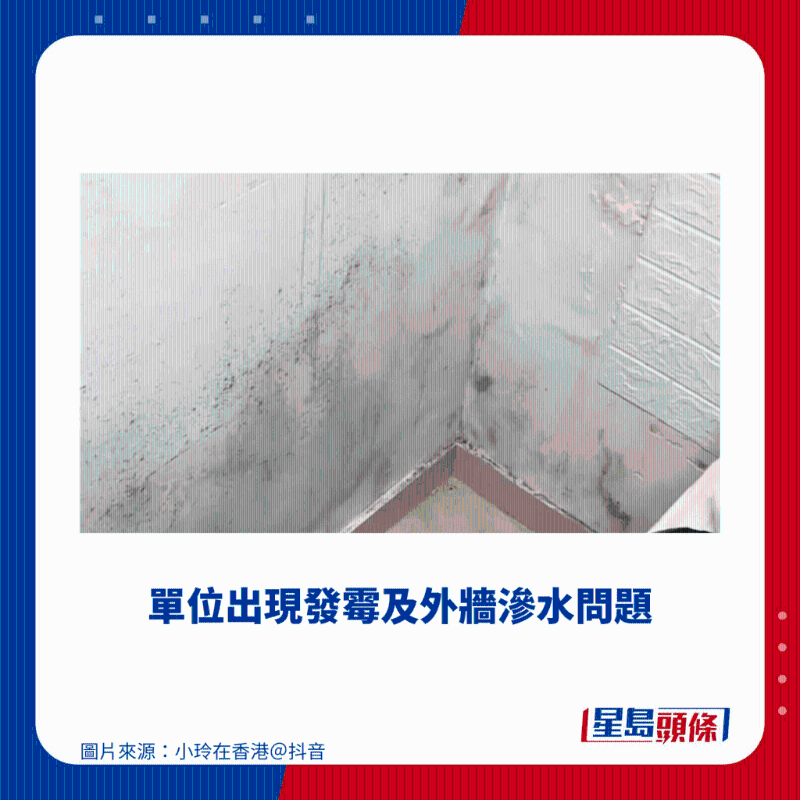 单位出现发霉及外墙渗水问题 单位出现发霉及外墙渗水问题