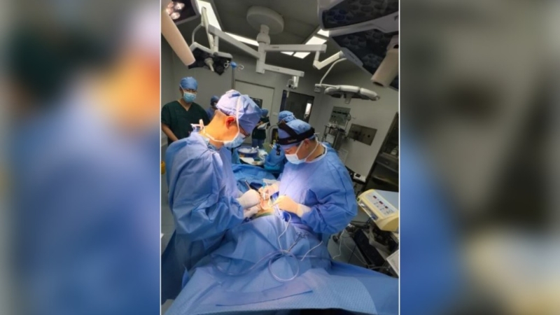 安徽71岁肝癌病人移植猪肝