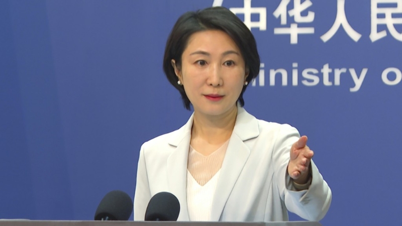 毛宁表示中央政府坚定支持香港特区执法和司法机关依法履职尽责。新华社资料图片