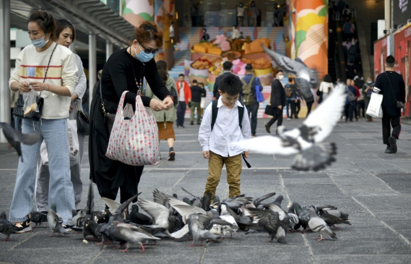 喂鸽会引来大群野鸽聚集。 资料图片 喂鸽会引来大群野鸽聚集。 资料图片