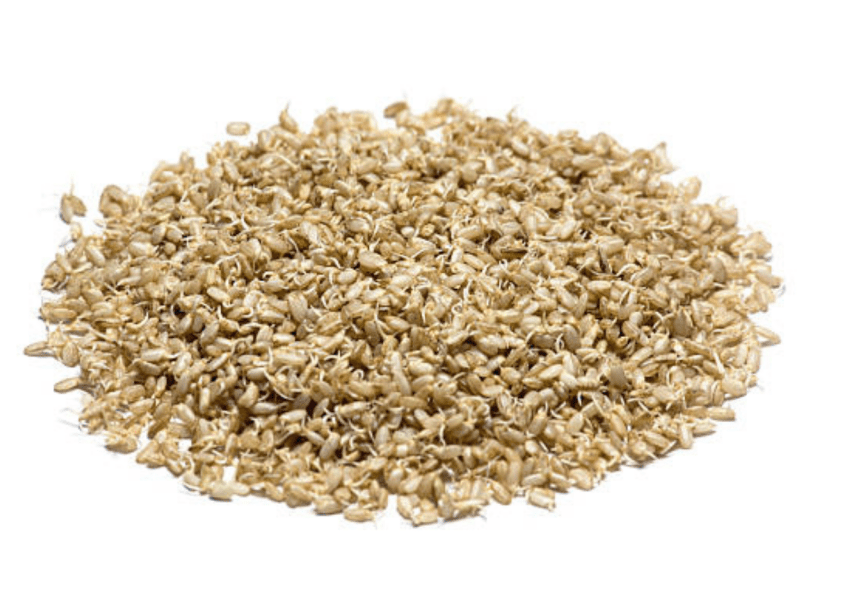 发芽糙米 发芽糙米