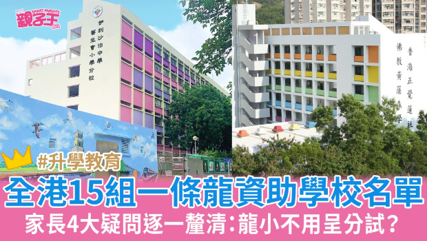 一条龙小学