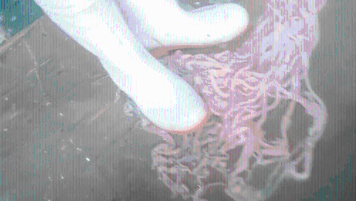 河南清丰县永官食品有限公司内,工人脚踩鹅肠以挤出粪便。 新京报 河南清丰县永官食品有限公司内,工人脚踩鹅肠以挤出粪便。 新京报