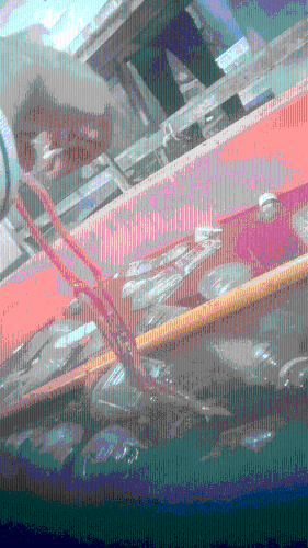 永官食品有限公司的鹅肠生产处,工人用血水浸泡染色,提高卖相。 新京报 永官食品有限公司的鹅肠生产处,工人用血水浸泡染色,提高卖相。 新京报