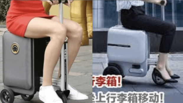 女子大阪街头骑电动行李箱被检控