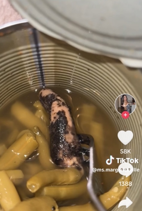 恐怖异物 恐怖异物