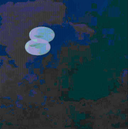 两机距离极近 两机距离极近