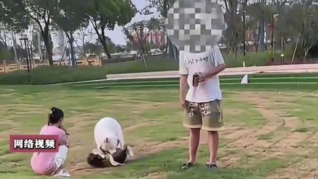 溜狗不栓绳吓坏小童被质问 溜狗不栓绳吓坏小童被质问