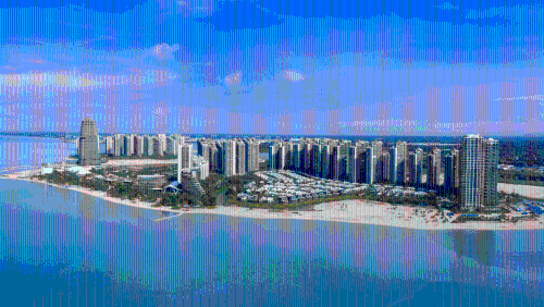 森林城市 森林城市